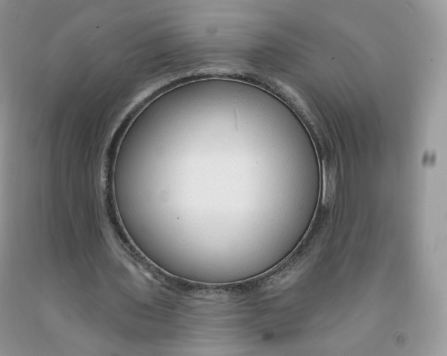 X0000091330435200709071200