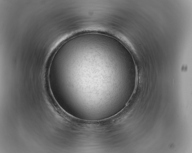 X0000091330436200709071200