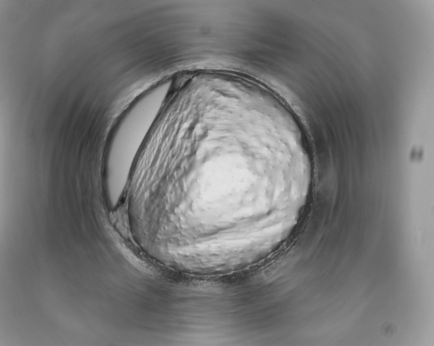 X0000091330437200709071200