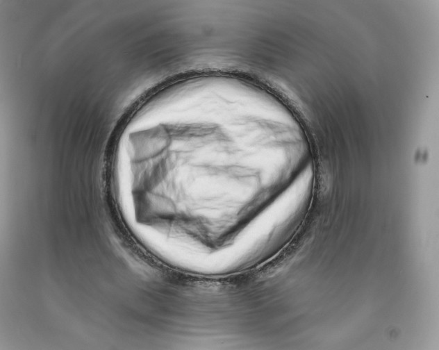 X0000091330439200709071200