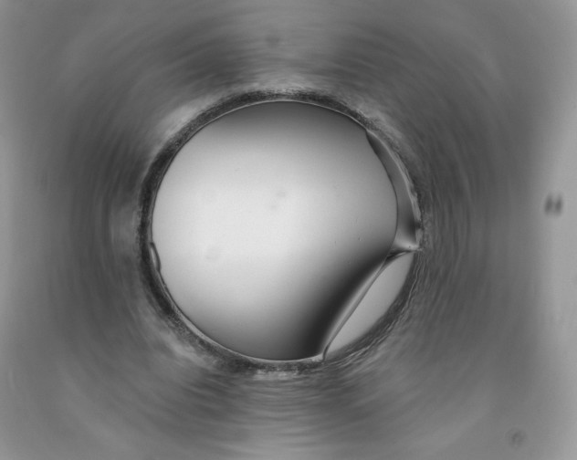 X0000091330440200709071200