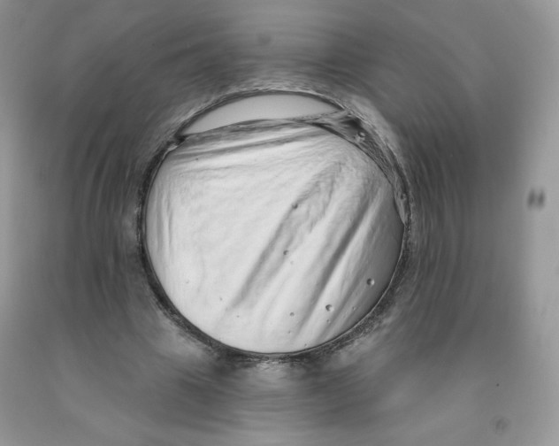 X0000091330441200709071200