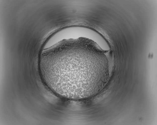 X0000091330442200709071200