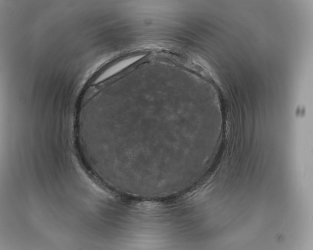 X0000091330444200709071200