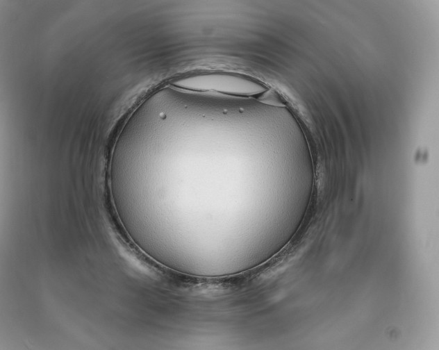 X0000091330445200709071200