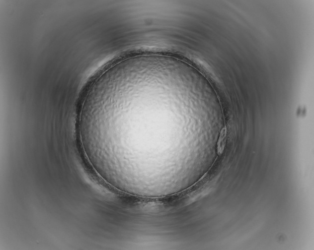 X0000091330446200709071200