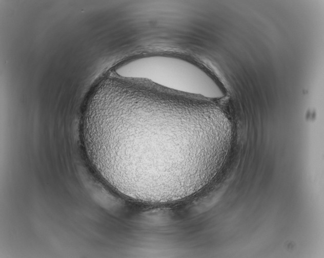 X0000091330447200709071200