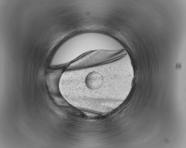 X0000091330448200709071200