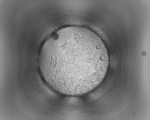 X0000091330449200709071200
