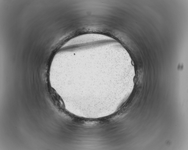 X0000091330450200709071200