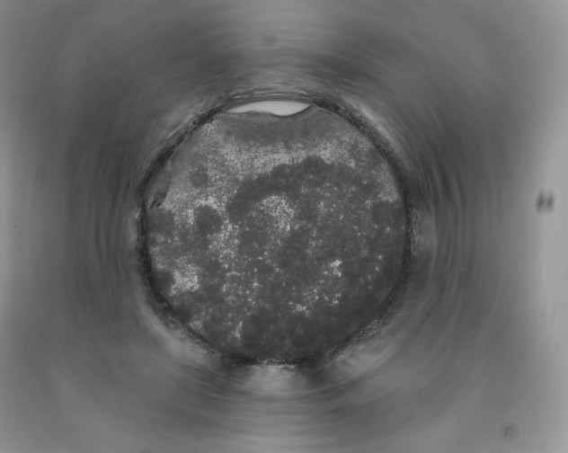 X0000091330451200709071200