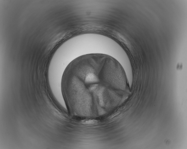X0000091330452200709071200