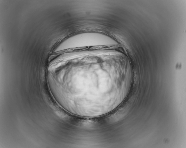 X0000091330453200709071200