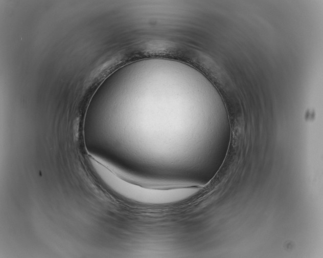 X0000091330454200709071200