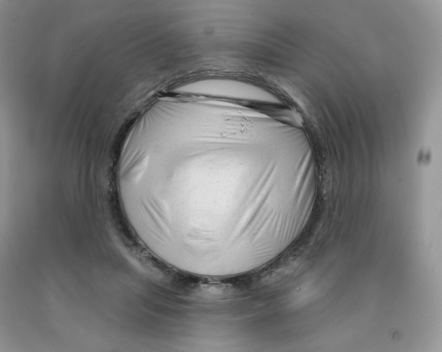 X0000091330455200709071200