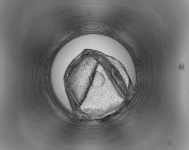 X0000091330456200709071200