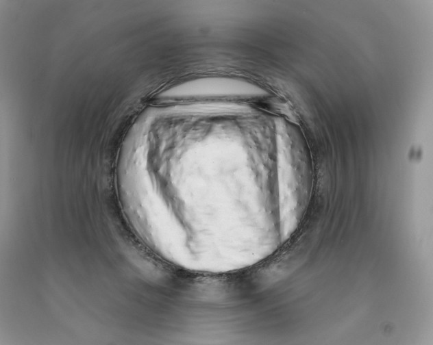 X0000091330457200709071200