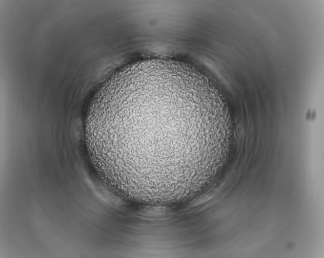 X0000091330459200709071200