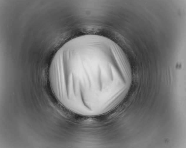 X0000091330460200709071200
