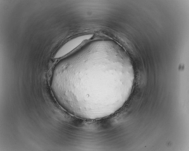 X0000091330461200709071200