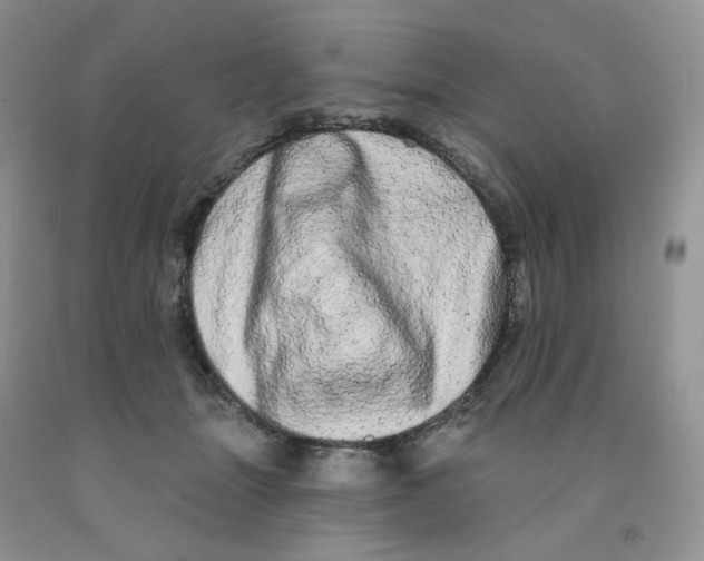 X0000091330463200709071200