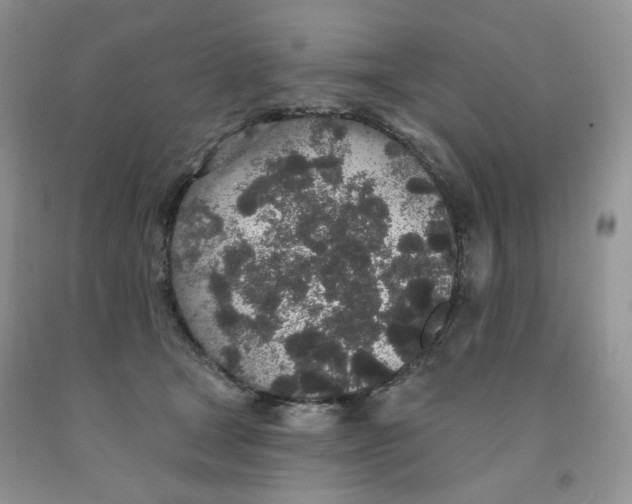 X0000091330465200709071200