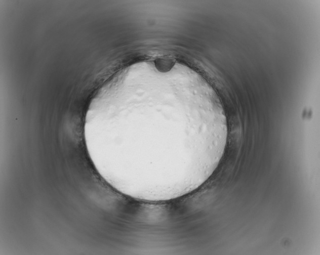 X0000091330469200709071200