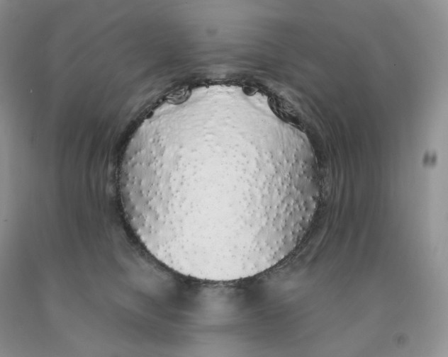 X0000091330470200709071201