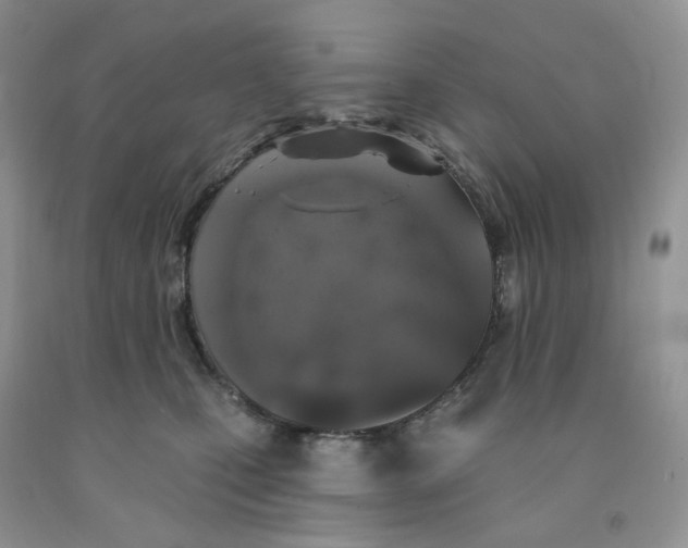 X0000091330471200709071201