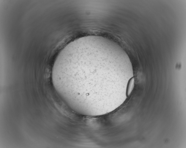X0000091330472200709071201