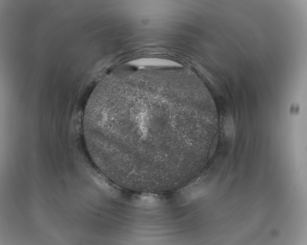 X0000091330475200709071201