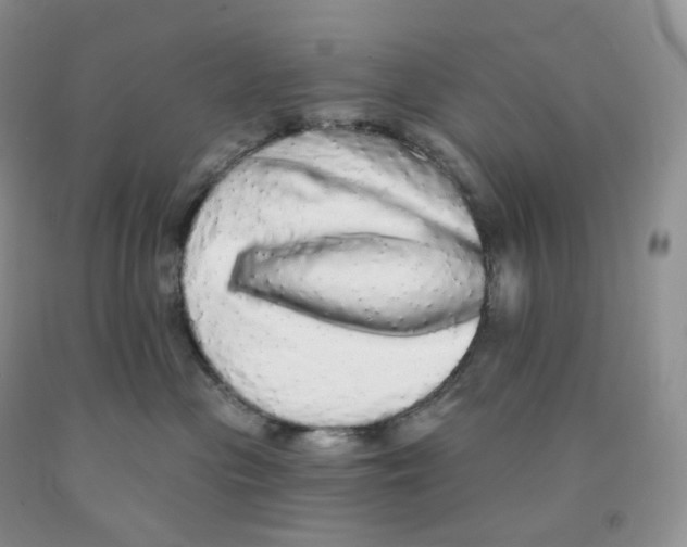 X0000091330477200709071201
