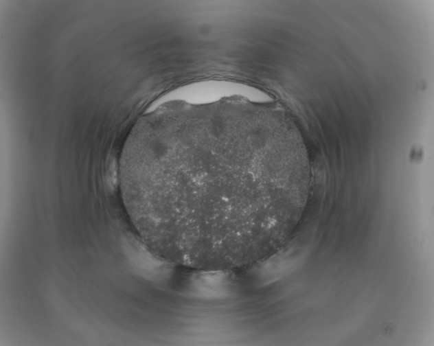 X0000091330479200709071201