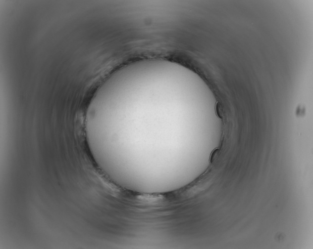 X0000091330480200709071201