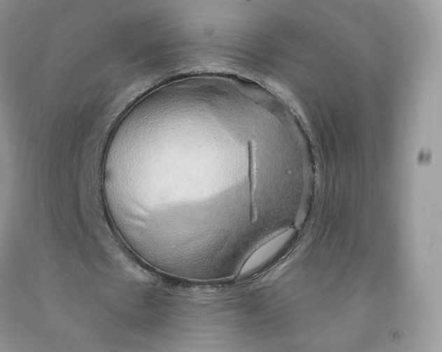 X0000091330481200709071200