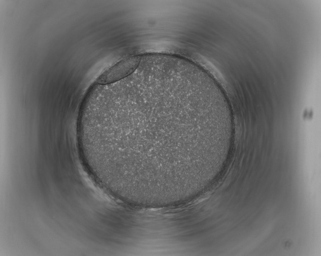X0000091330482200709071200