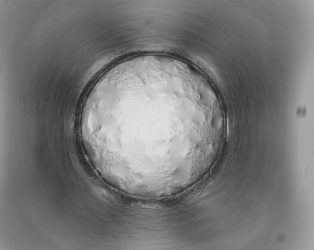 X0000091330483200709071200