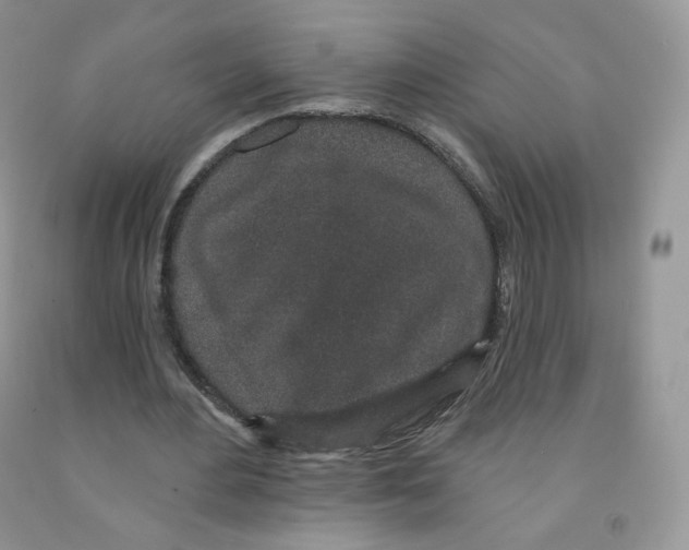 X0000091330484200709071200
