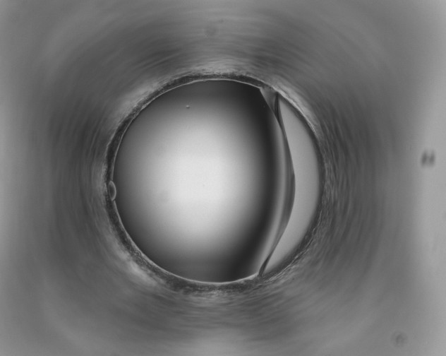 X0000091330485200709071200