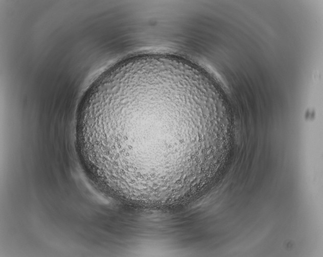 X0000091330486200709071200