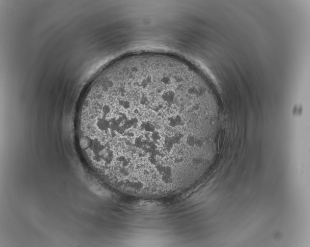 X0000091330487200709071200