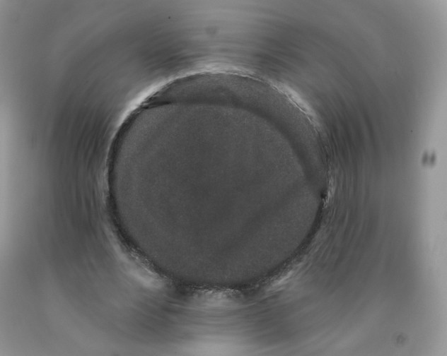 X0000091330488200709071200