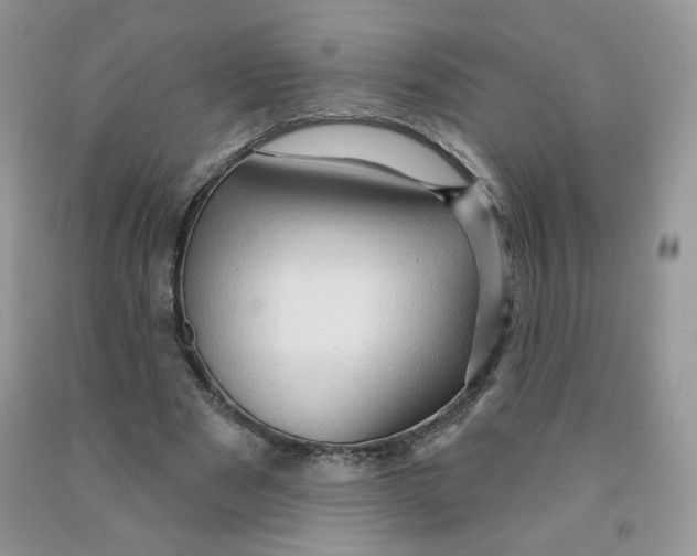 X0000091330489200709071200