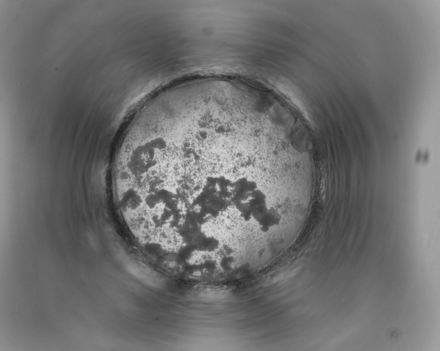 X0000091330491200709071200