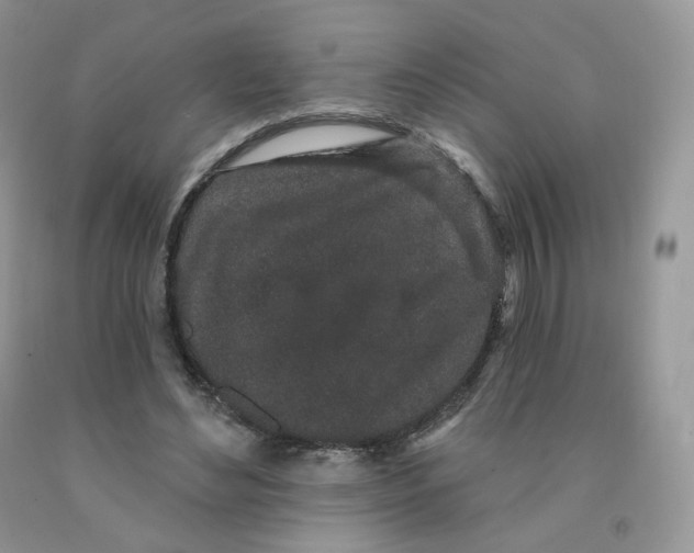 X0000091330492200709071200