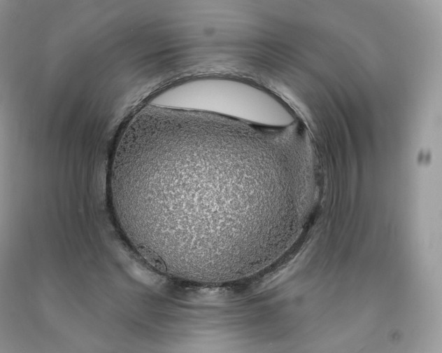 X0000091330493200709071200