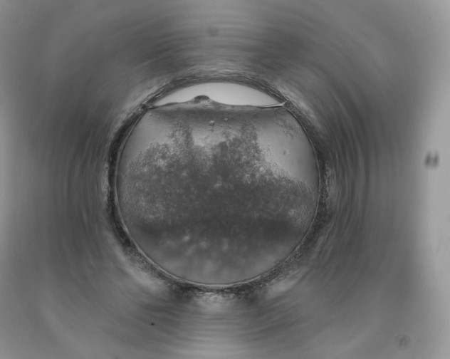 X0000091330494200709071200
