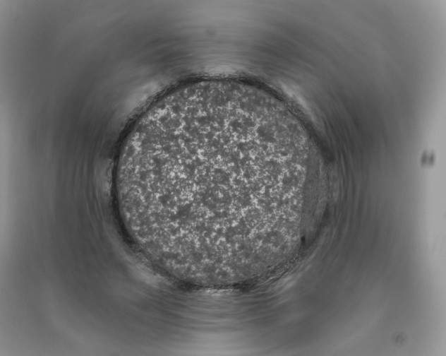X0000091330495200709071200
