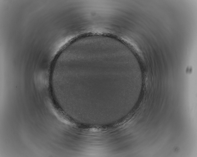 X0000091330496200709071200