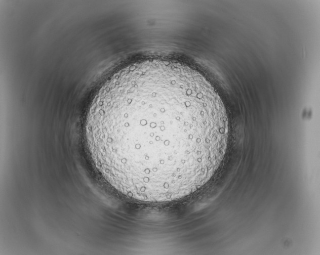 X0000091330498200709071200